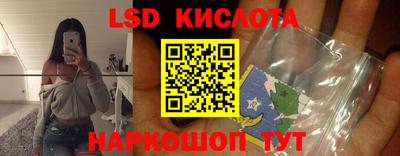 крисы Бийск